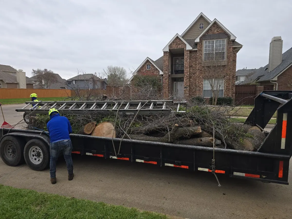 Expert Tree Pest Control with proper safety equipment in Iron Belt
